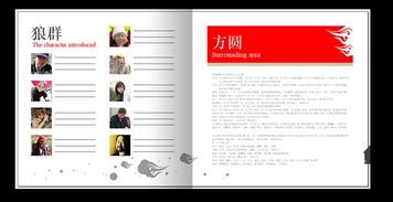 中國(guó)文化味畫冊(cè)設(shè)計(jì) 廣告公司作品 佳作欣賞